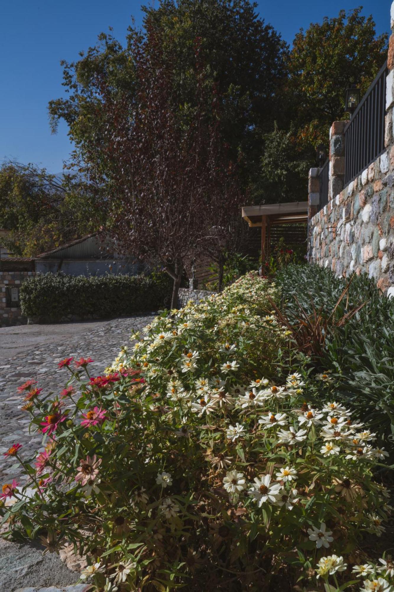 Alkyonis Hotel & Spa Loutraki  Bagian luar foto
