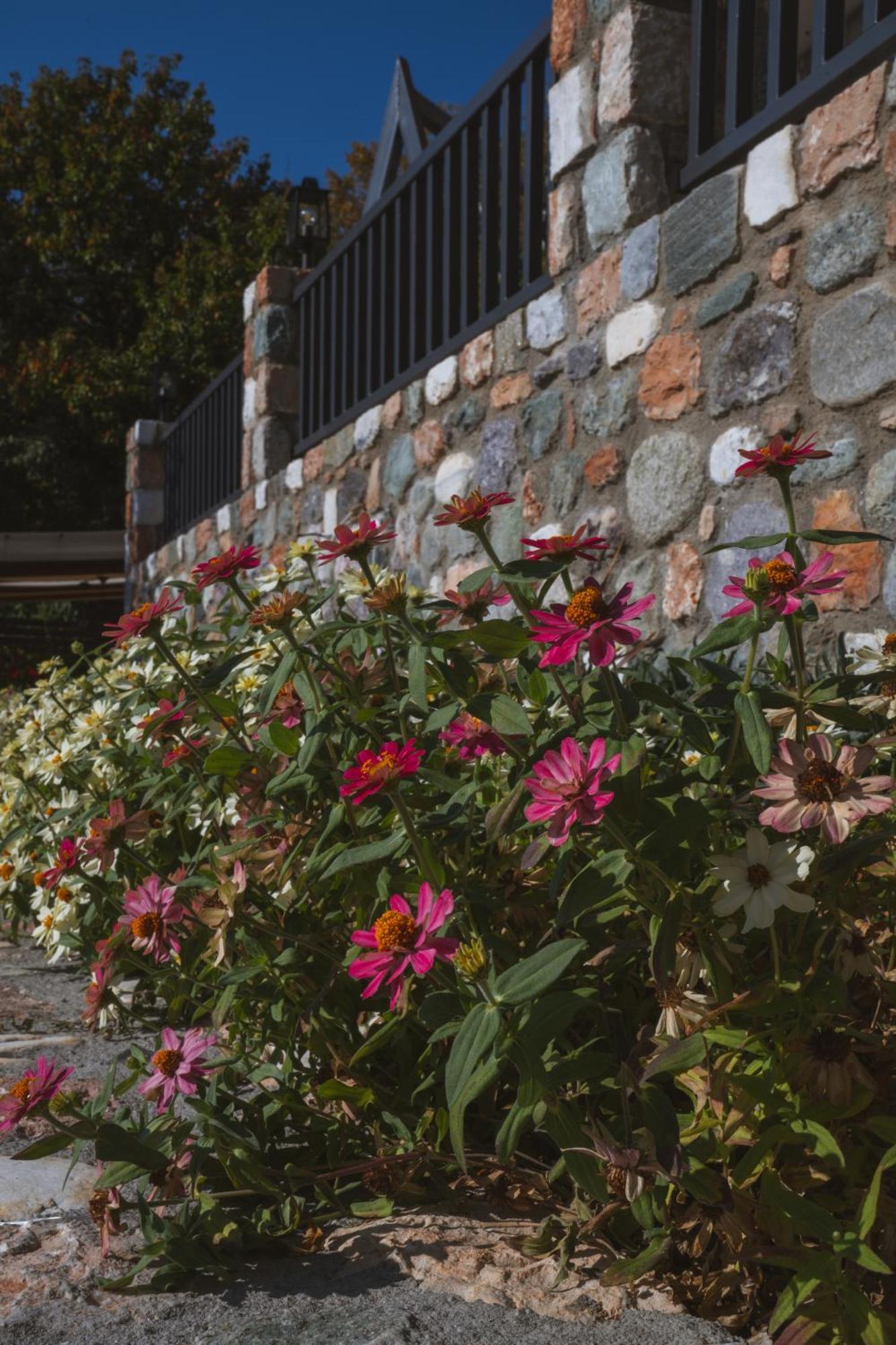 Alkyonis Hotel & Spa Loutraki  Bagian luar foto